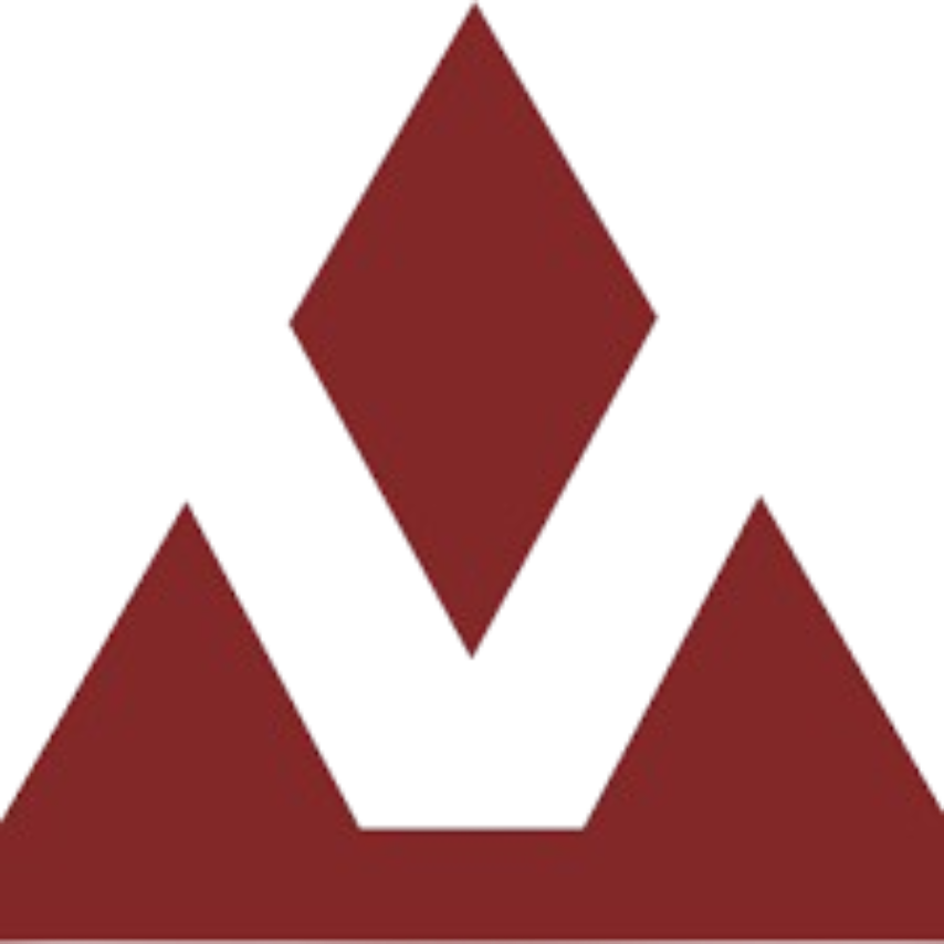 VectorNav logo